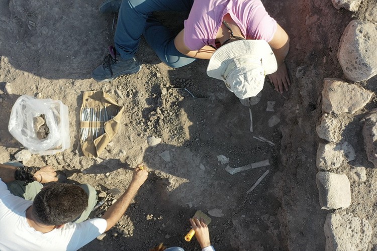 Domuztepe Höyüğü'nde 7 bin 600 yıllık iskeletler bulundu