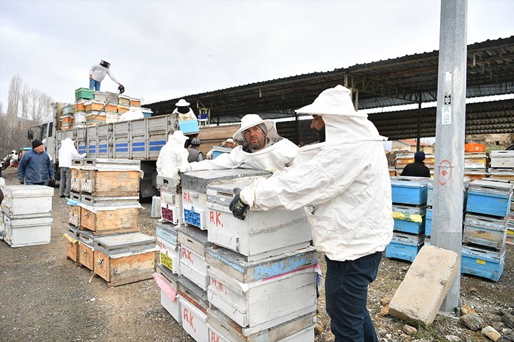 Kayserili üreticilere arılı kovan dağıtıldı