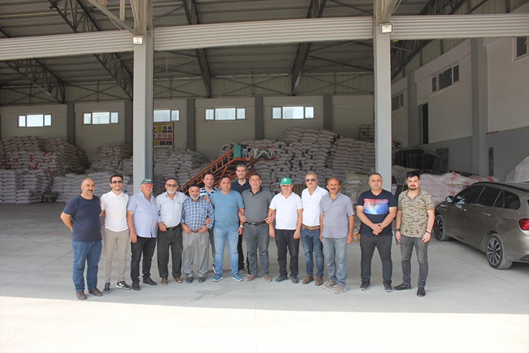 TMO, Suluova'da hububat alımına başladı