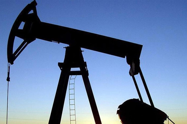 "Trump'a dahi satarız"