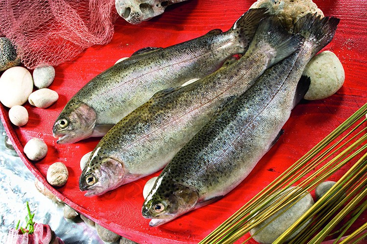 Türk somonu ihracatı 2021'de 130 milyon dolara ulaştı