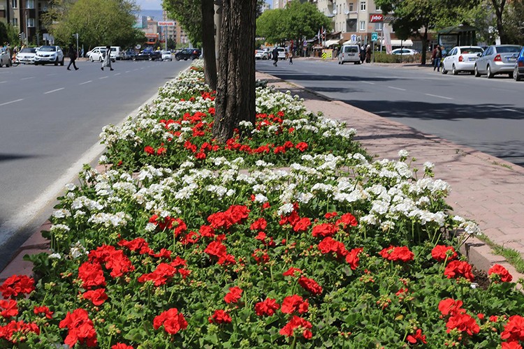 Çiçeklerle gülistan Melikgazi