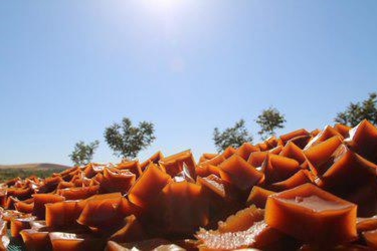 Şanlıurfa'nın Hasenik pestili coğrafi işaretle tescillendi