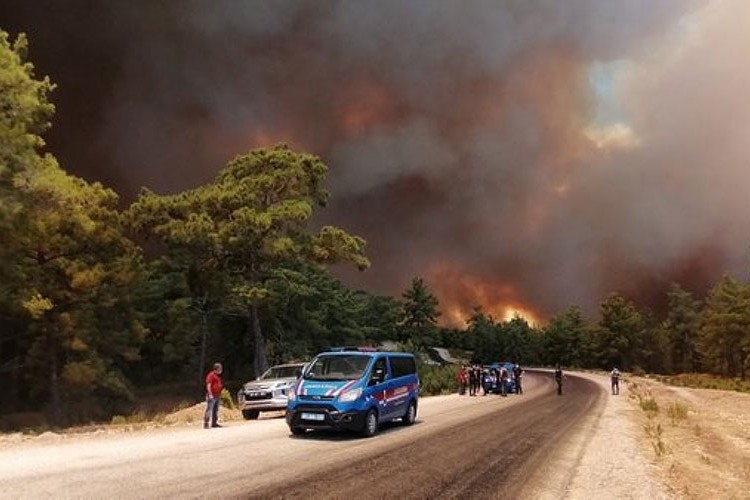 98 orman yangınının 88'i kontrol altına alındı
