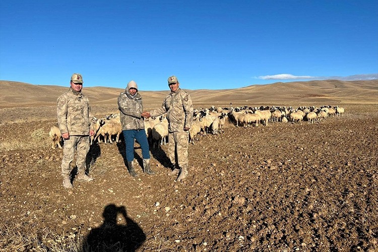 Erzincan'da kaybolan 300 koyun İHA desteği ile bulundu