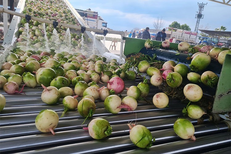 Turp ticaretini modern tesise taşıdı