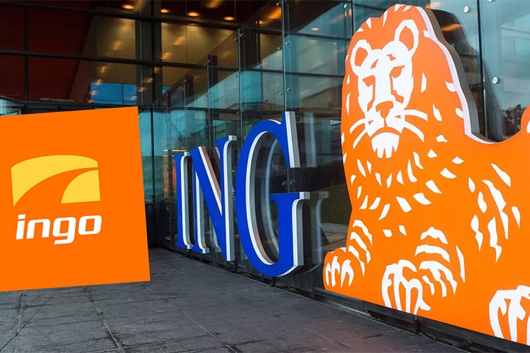 INGo'da 2024'te 4 milyon mesajlaşma gerçekleşti