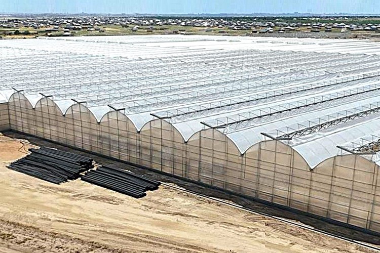 Kazakistan'daki sera projesinin ısıtma altyapısı Mimsan'a emanet