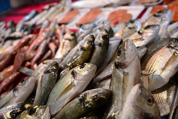 Su ürünleri ihracatı bu yıl 7 ayda 1 milyar doları aştı