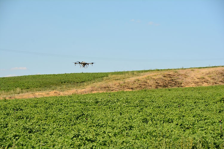 Bitlis'te çiftçiler tarlalarını ZİHA yardımıyla ilaçlıyor