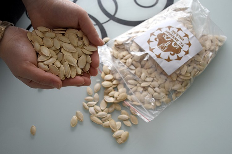 Aksaray kabak çekirdeğine tescil