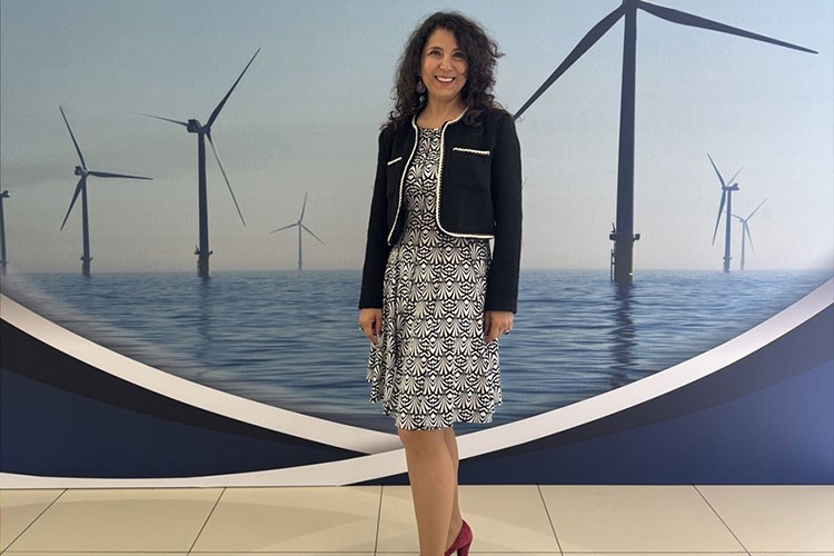Deniz üstü rüzgar enerjisi projesini hayata geçiriyor