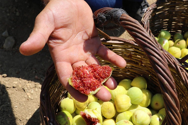 Hedef dış pazar...