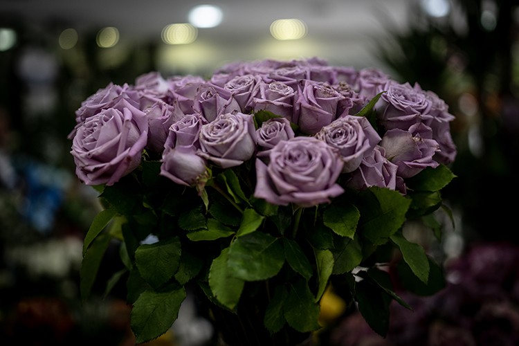 Anneler için 51 tır çiçek hazır