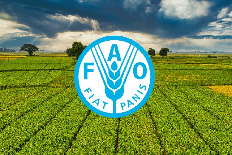 FAO ve Türkiye'den tarım politikalarını güçlendirecek yeni proje