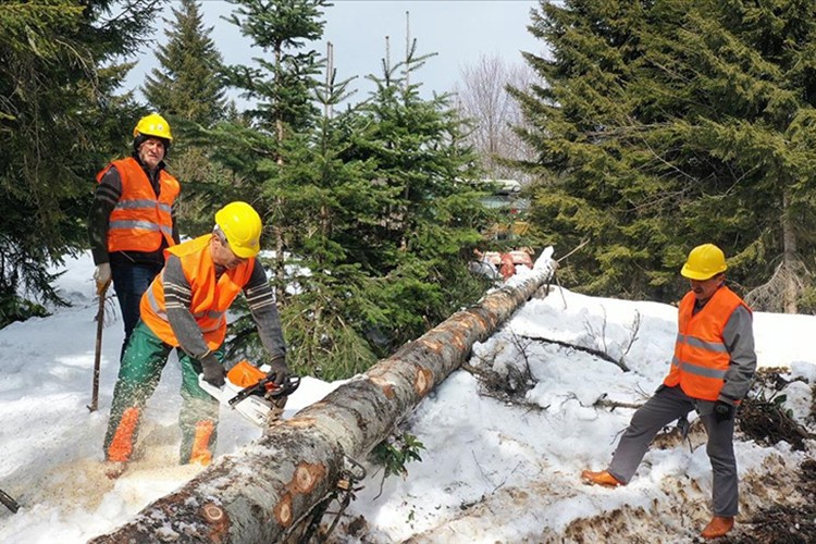Orman köylüleri kredi taksitleri ertelendi