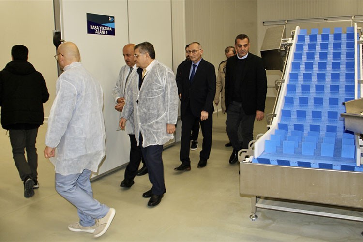 Sinop'ta kurulan balık işleme tesisi hizmet vermeye başladı