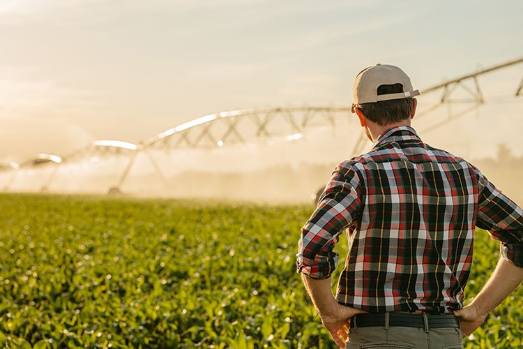 Çiftçiler elektrik aboneliklerini bir telefonla açabiliyor