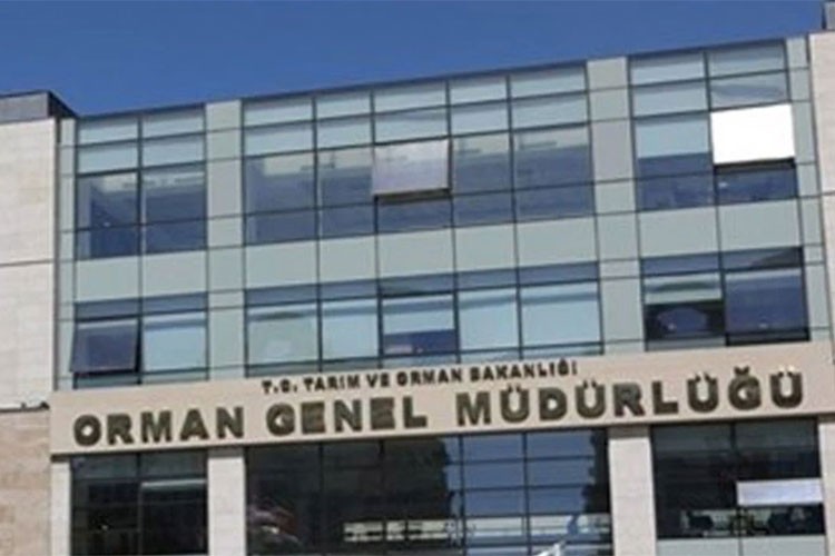 Orman Genel Müdürlüğü 9 geçici işçi alacak