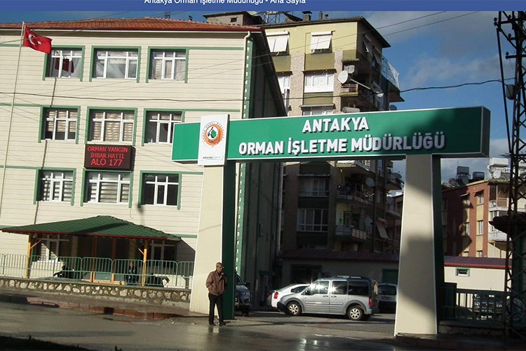 Danışmanlık hizmeti alınacak