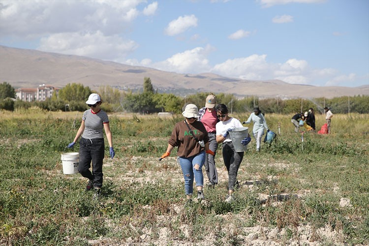 Geleceğin ziraat mühendisleri üniversitenin uygulama bahçelerinde yetişiyor