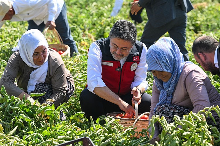 Domates hasadında EKÜY Projesini tanıttı