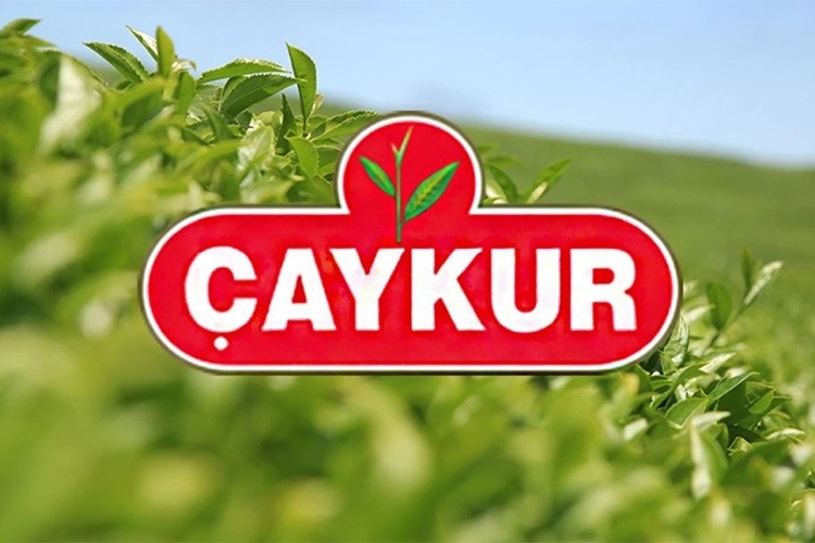 ÇAYKUR'da 2024 yılı yaş çay sezonu sona eriyor