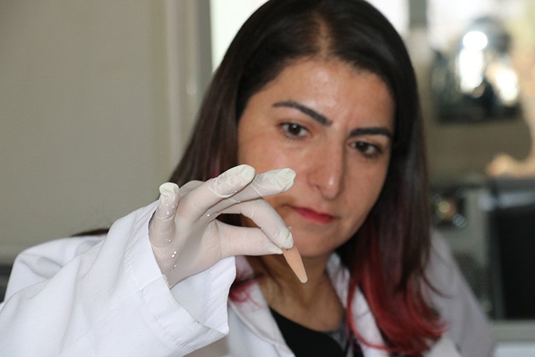 Serotoninin beyin dışındaki etkileri