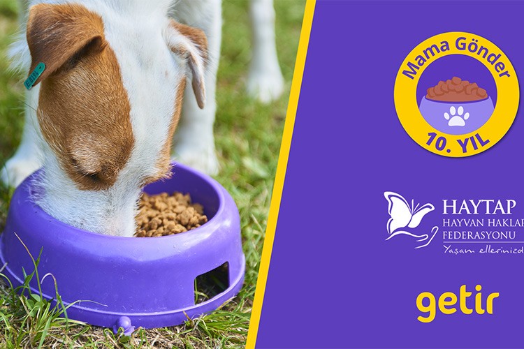 Getir, 10 yıldır patili dostların yanında