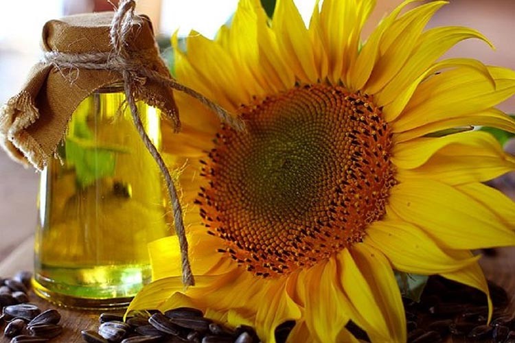 Ayçiçeği yağı ithalatında gümrük vergisi yükseltildi