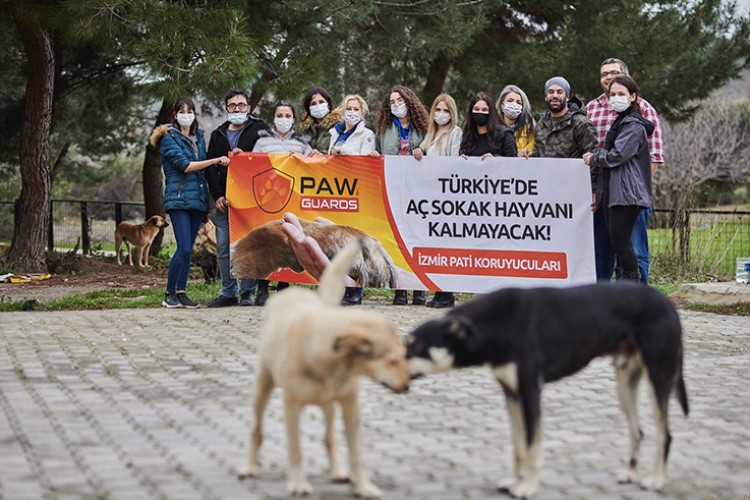 40 ton mama ile 140 bin sokak hayvanını besledi