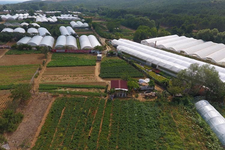 "Suyu idareli kullanmak zorundayız"