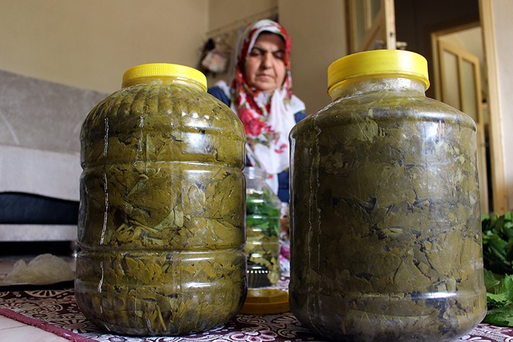 Yaprağı on kat pahalı