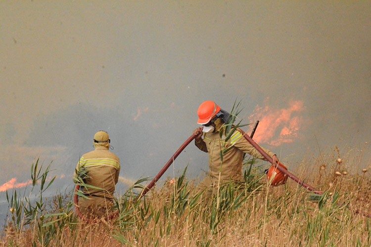 Yangınların yüzde 57'si orman dışı alanlarda başladı