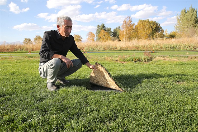 Topraksız rulo çim üretim yöntemiyle tarım kaybı önlenecek
