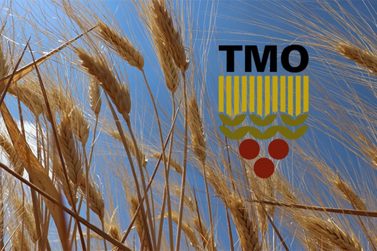 TMO'nun ithalat yoluyla ürünleri alım esasları belirlendi