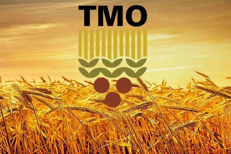 TMO Kastamonu'da 10 bin tonun üzerinde hububat alacak