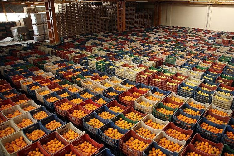 Rusya, Türkiye dahil 9 ülkeden sebze ithalatını artırıyor