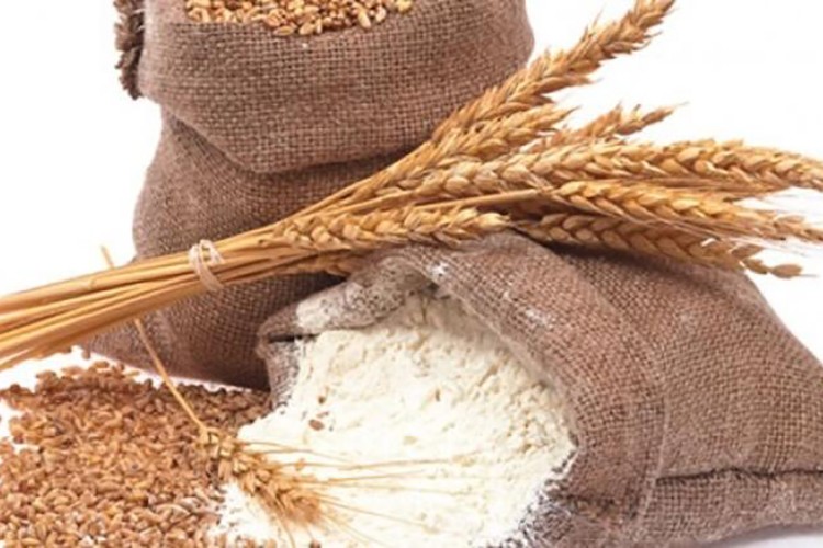 Un sektörü Antalya'da buluşacak