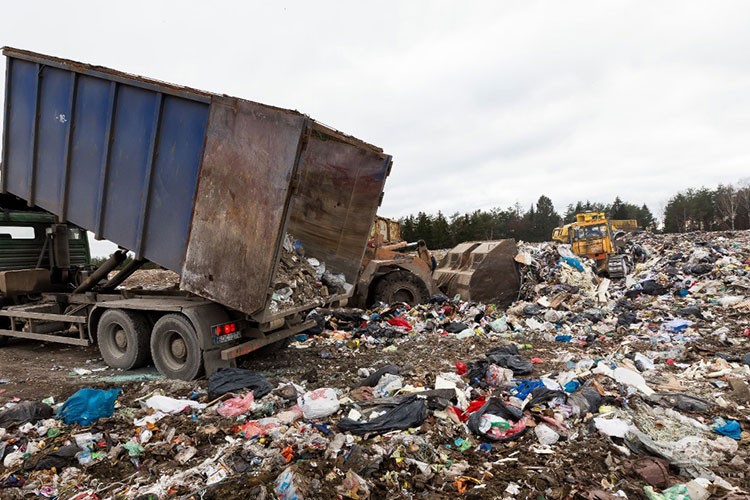 Plastik Kirliliğine Son Ver, Yaşamı Koru!