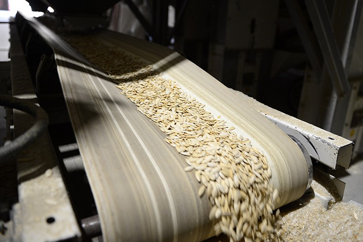 4 kıtaya ihraç ediliyor