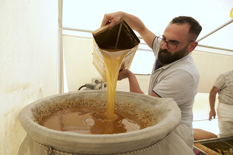 AB tescilli Bingöl balı ABD ve Orta Doğu'ya açılacak