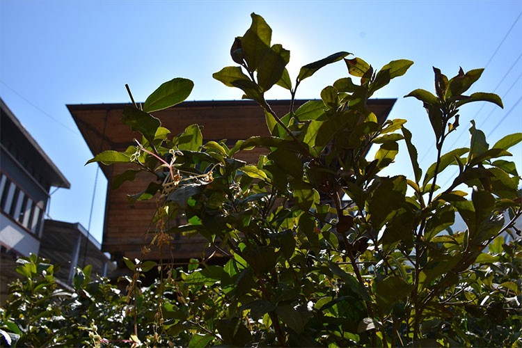 Enerji maliyetinin dörtte biri güneş enerjisinden sağlanıyor