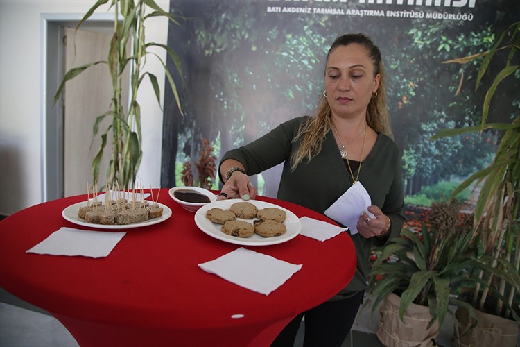 Hayvan yemi ve sorgum mutfaklarda da yerini alacak