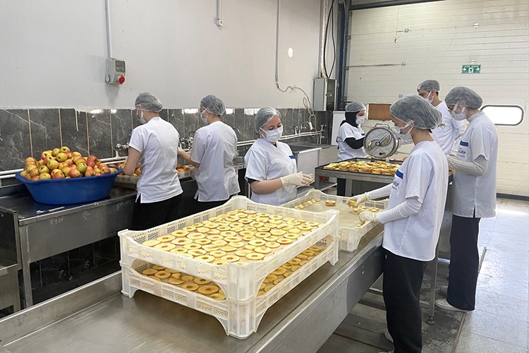 Bursa'da 135 yıllık tarım lisesinde yetiştirilen ürünler tüketiciye ulaşıyor