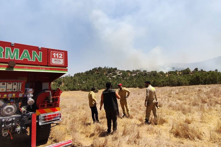Şırnak'ta orman ve örtü yangınına müdahale ediliyor