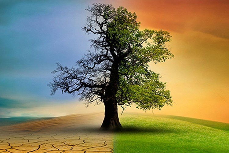 Gelişmekte olan ülkelerin iklim finansmanı ihtiyacı yılda 310 milyar doları aşıyor