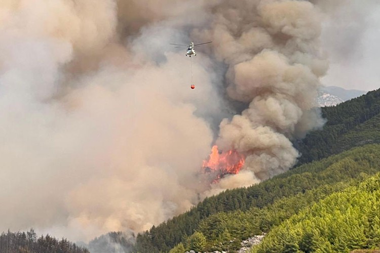 Alanya'daki orman yangını kontrol altına alındı