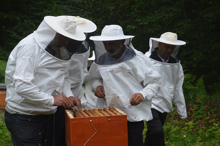 Arıcılar bal üretimi için yaylada mesai yapıyor