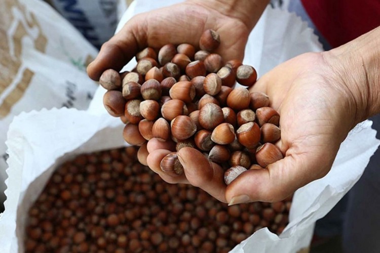 TMO fındık fiyatını açıkladı